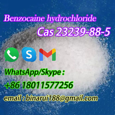 Benzocaine Hydrochloride/Ethyl 4-Aminobenzoate Hydrochloride CAS 23239-88-5 kemurnian tinggi