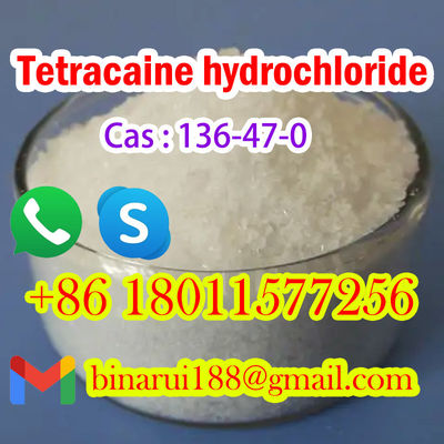 CAS 136-47-0 Tetracaine Hydrochloride / Tetracaine HCl Tetracaine HCl Bahan baku farmasi